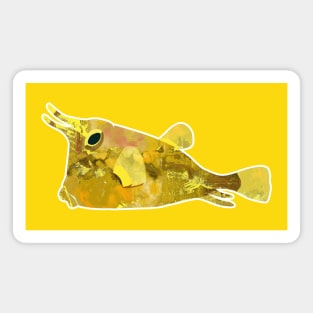 Very yellow Boxfish Magnet